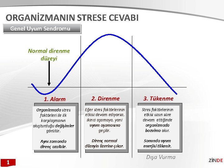 Genel Uyum Sendromu Normal direnme düzeyi 1 1. Alarm 2. Direnme 3. Tükenme Organizmada