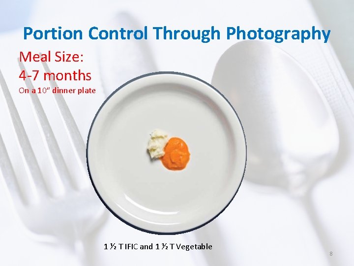 Portion Control Through Photography Meal Size: 4 -7 months On a 10” dinner plate