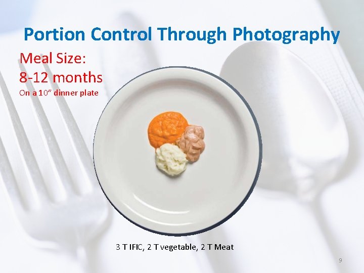 Portion Control Through Photography Meal Size: 8 -12 months On a 10” dinner plate