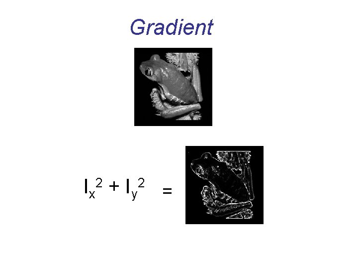 Gradient Ix 2 + Iy 2 = 