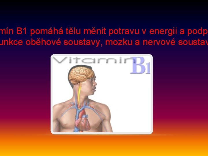 mín B 1 pomáhá tělu měnit potravu v energii a podpo unkce oběhové soustavy,