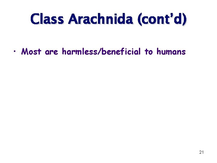 Class Arachnida (cont’d) • Most are harmless/beneficial to humans 21 