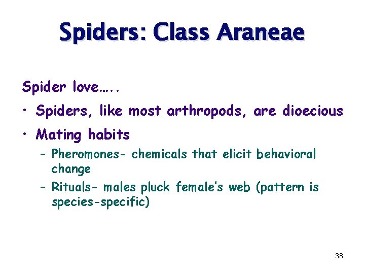 Spiders: Class Araneae Spider love…. . • Spiders, like most arthropods, are dioecious •