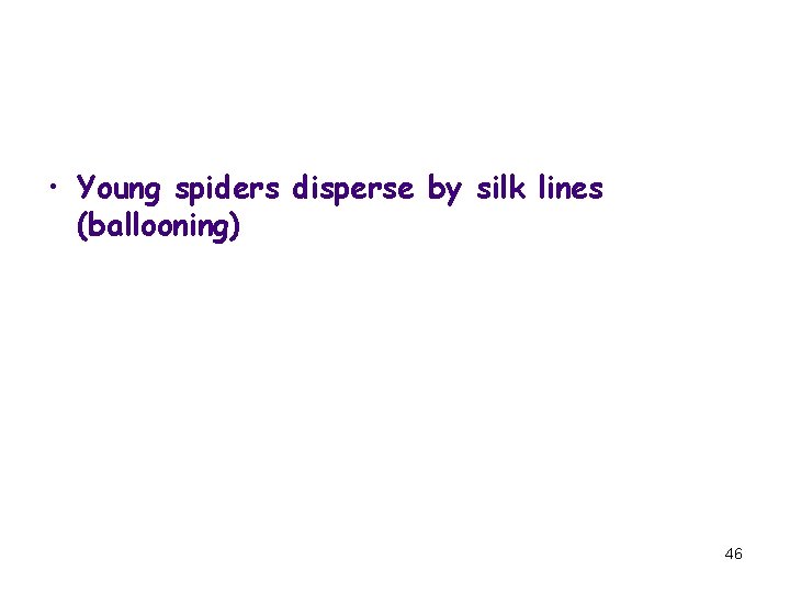  • Young spiders disperse by silk lines (ballooning) 46 