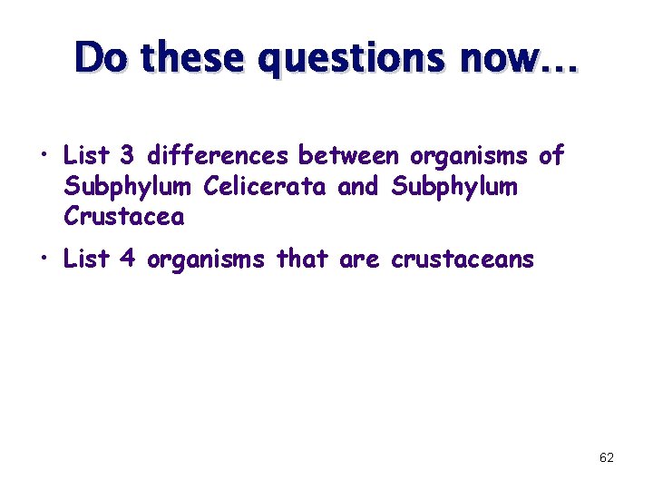 Do these questions now… • List 3 differences between organisms of Subphylum Celicerata and