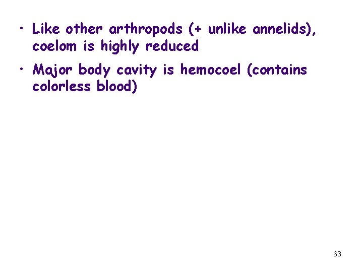  • Like other arthropods (+ unlike annelids), coelom is highly reduced • Major