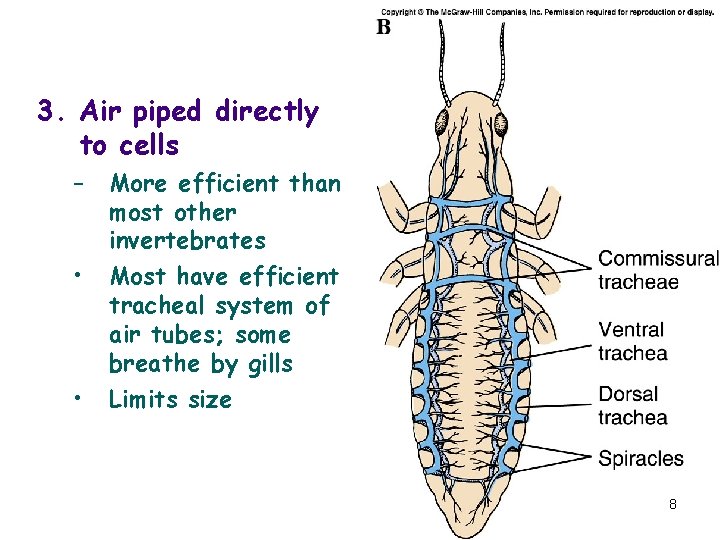 3. Air piped directly to cells – • • More efficient than most other