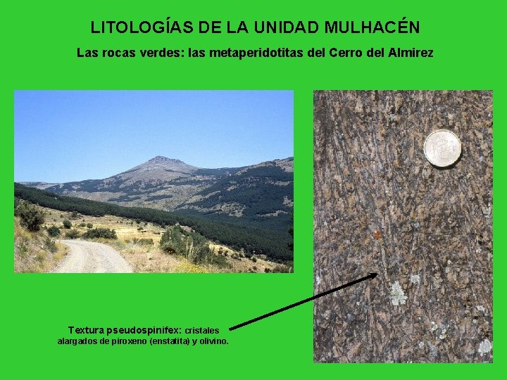 LITOLOGÍAS DE LA UNIDAD MULHACÉN Las rocas verdes: las metaperidotitas del Cerro del Almirez