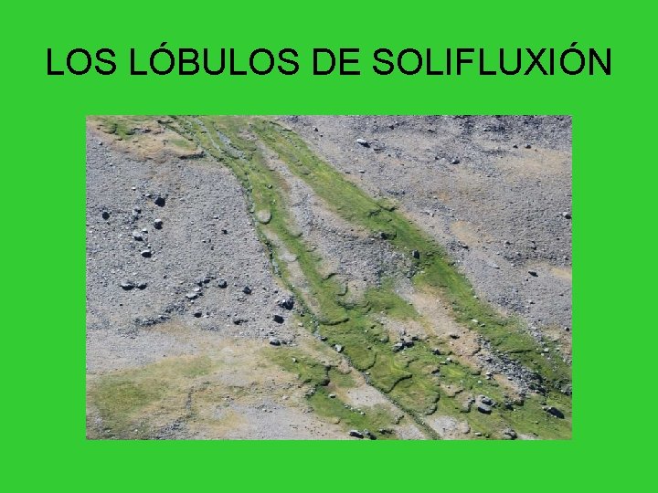 LOS LÓBULOS DE SOLIFLUXIÓN 