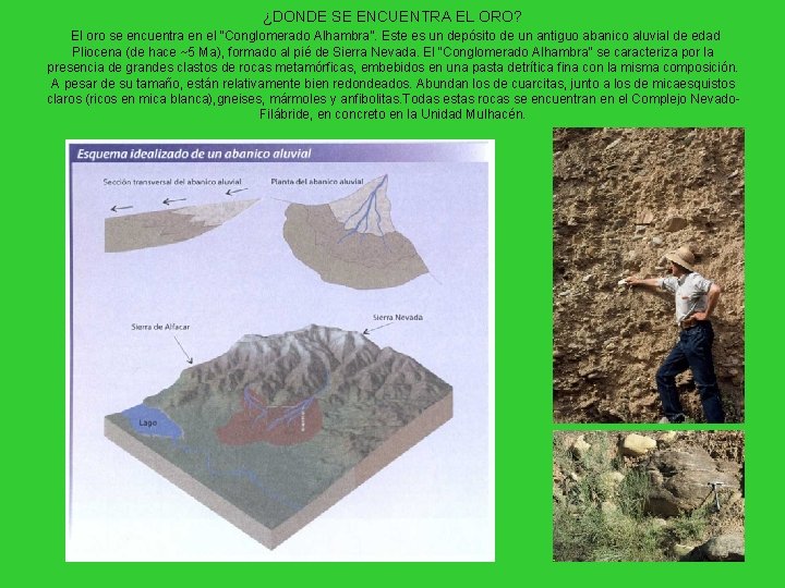 ¿DONDE SE ENCUENTRA EL ORO? El oro se encuentra en el “Conglomerado Alhambra”. Este