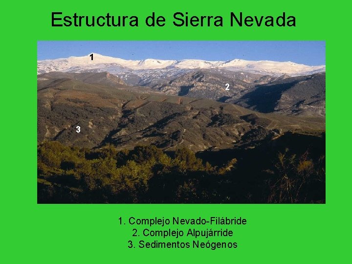 Estructura de Sierra Nevada 1 2 3 1. Complejo Nevado-Filábride 2. Complejo Alpujárride 3.