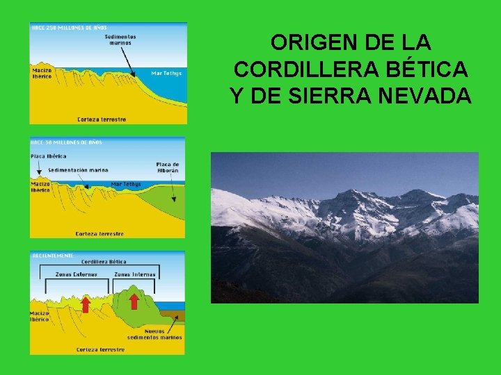 ORIGEN DE LA CORDILLERA BÉTICA Y DE SIERRA NEVADA 