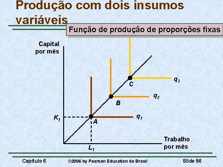 Produção com dois insumos variáveis Função de produção de proporções fixas Capital por mês