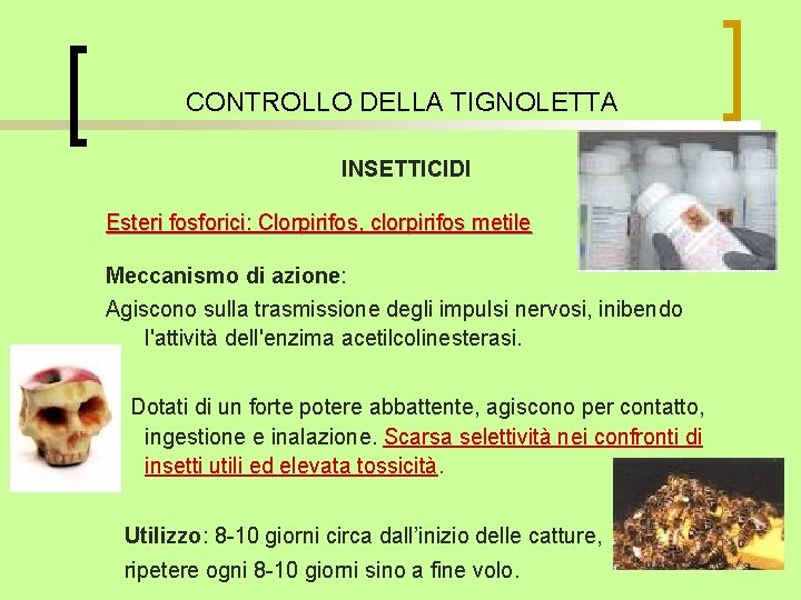 CONTROLLO DELLA TIGNOLETTA INSETTICIDI Esteri fosforici: Clorpirifos, clorpirifos metile Meccanismo di azione: Agiscono sulla