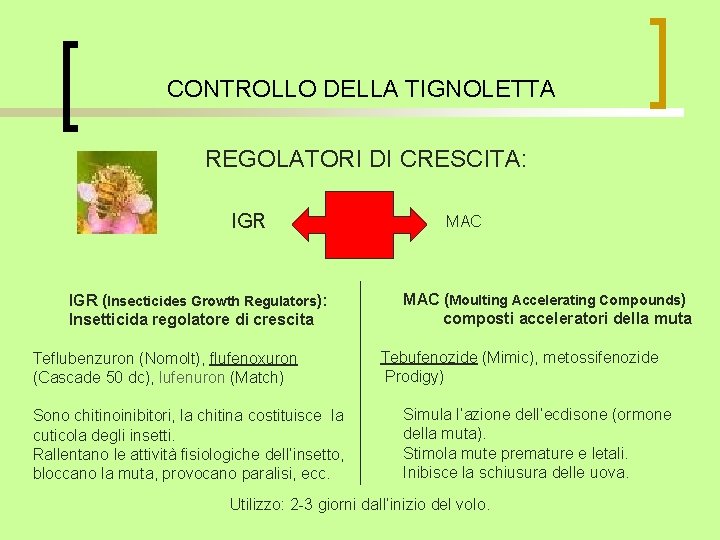 CONTROLLO DELLA TIGNOLETTA REGOLATORI DI CRESCITA: IGR (Insecticides Growth Regulators): Insetticida regolatore di crescita