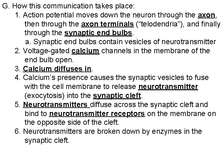 G. How this communication takes place: 1. Action potential moves down the neuron through