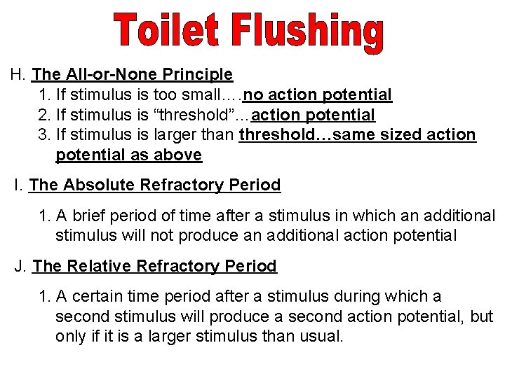 H. The All-or-None Principle 1. If stimulus is too small…. no action potential 2.