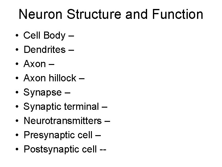 Neuron Structure and Function • • • Cell Body – Dendrites – Axon hillock