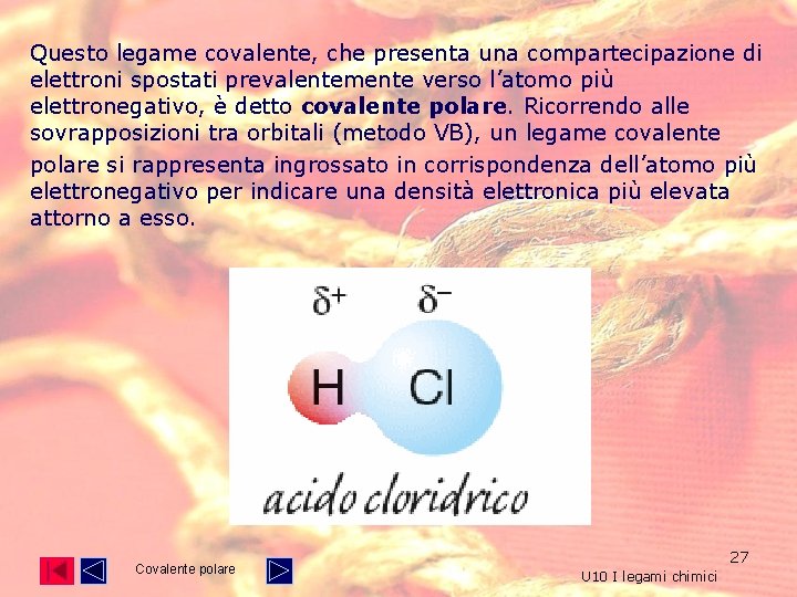 Questo legame covalente, che presenta una compartecipazione di elettroni spostati prevalentemente verso l’atomo più Questo legame covalente, che presenta una compartecipazione di elettroni spostati prevalentemente verso l’atomo più
