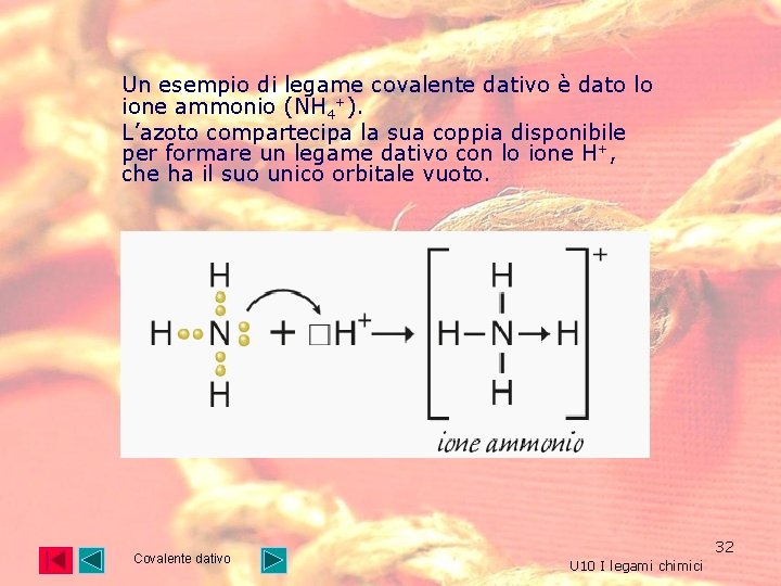 Un esempio di legame covalente dativo è dato lo ione ammonio (NH 4+). L’azoto Un esempio di legame covalente dativo è dato lo ione ammonio (NH 4+). L’azoto