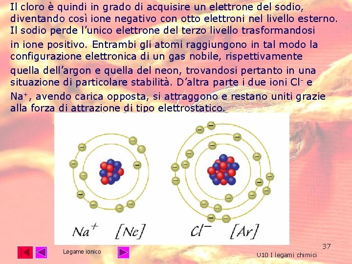 Il cloro è quindi in grado di acquisire un elettrone del sodio, diventando così Il cloro è quindi in grado di acquisire un elettrone del sodio, diventando così