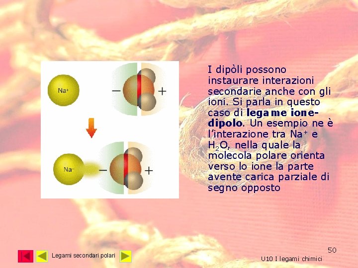 I dipòli possono instaurare interazioni secondarie anche con gli ioni. Si parla in questo I dipòli possono instaurare interazioni secondarie anche con gli ioni. Si parla in questo