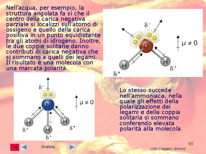 Nell’acqua, per esempio, la struttura angolata fa sì che il centro della carica negativa Nell’acqua, per esempio, la struttura angolata fa sì che il centro della carica negativa
