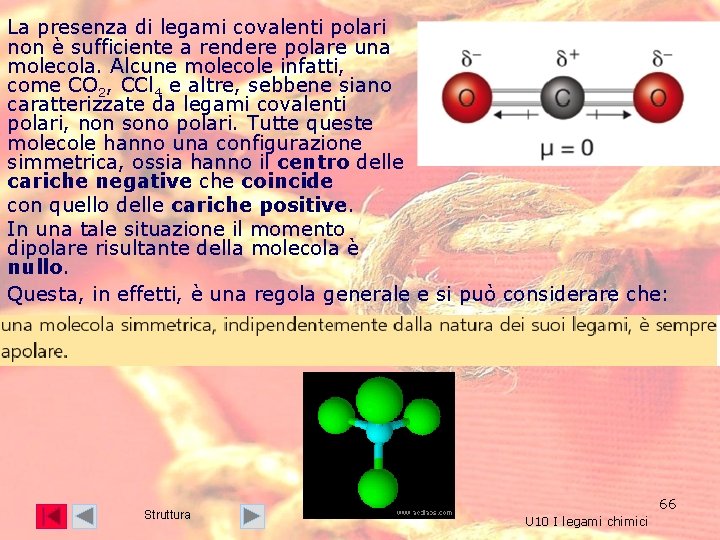 La presenza di legami covalenti polari non è sufficiente a rendere polare una molecola. La presenza di legami covalenti polari non è sufficiente a rendere polare una molecola.