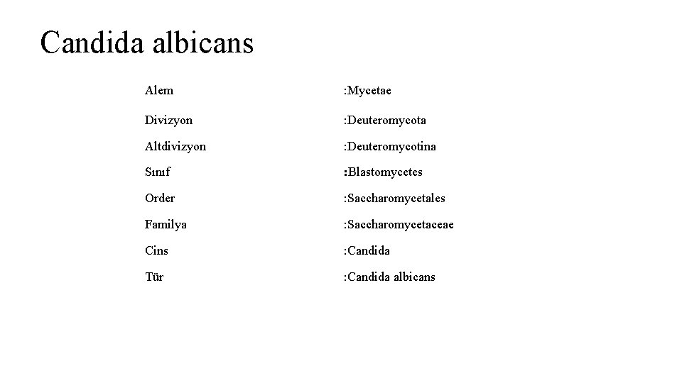 Candida albicans Alem : Mycetae Divizyon : Deuteromycota Altdivizyon : Deuteromycotina Sınıf : Blastomycetes