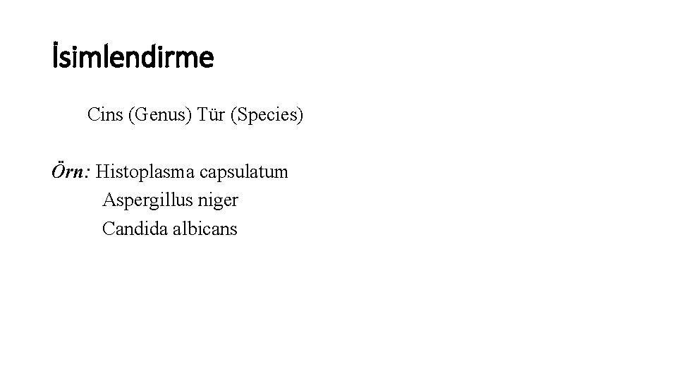 İsimlendirme Cins (Genus) Tür (Species) Örn: Histoplasma capsulatum Aspergillus niger Candida albicans 