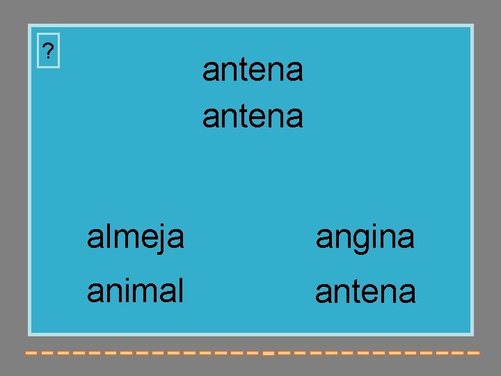 ? antena almeja angina animal antena 