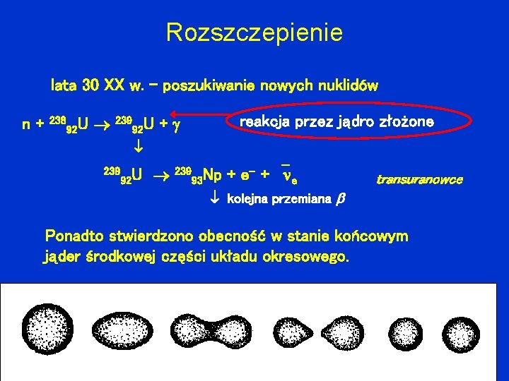 Rozszczepienie lata 30 XX w. – poszukiwanie nowych nuklidów n+ 238 U 92 239