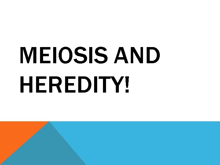 MEIOSIS AND HEREDITY! 