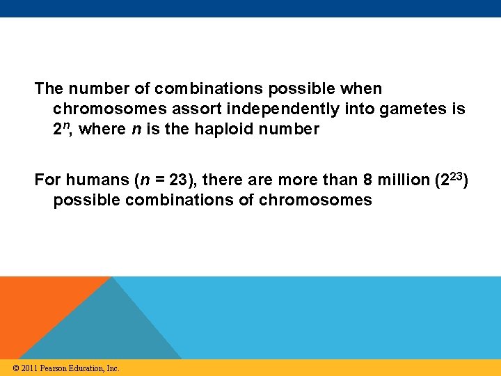 The number of combinations possible when chromosomes assort independently into gametes is 2 n,