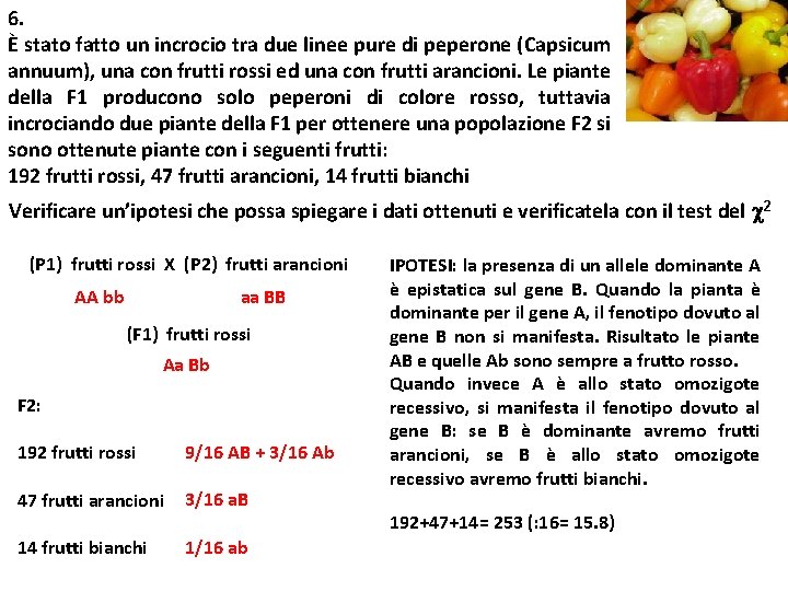 6. È stato fatto un incrocio tra due linee pure di peperone (Capsicum annuum),