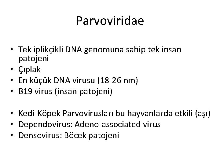 Parvoviridae • Tek iplikçikli DNA genomuna sahip tek insan patojeni • Çıplak • En