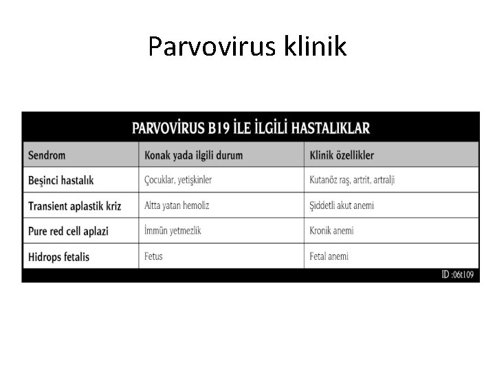 Parvovirus klinik 