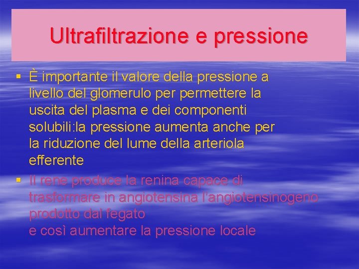 Ultrafiltrazione e pressione § È importante il valore della pressione a livello del glomerulo