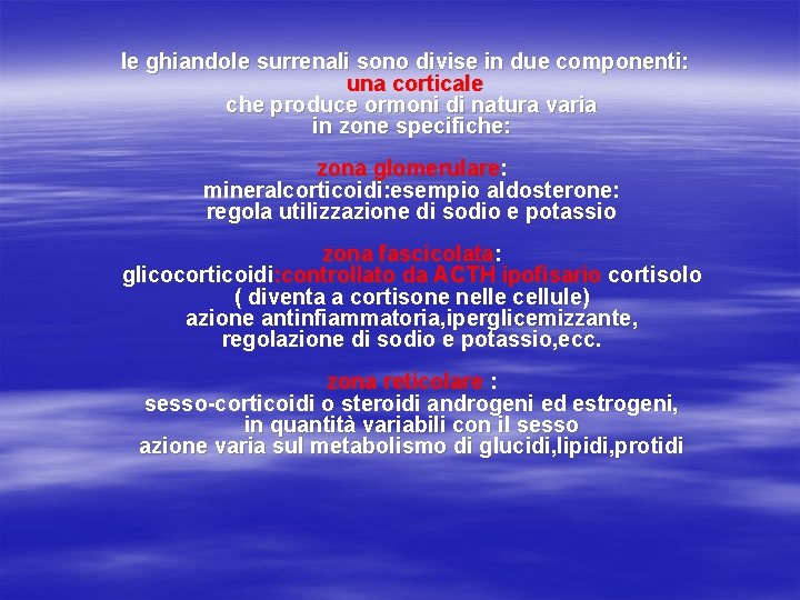 le ghiandole surrenali sono divise in due componenti: una corticale che produce ormoni di