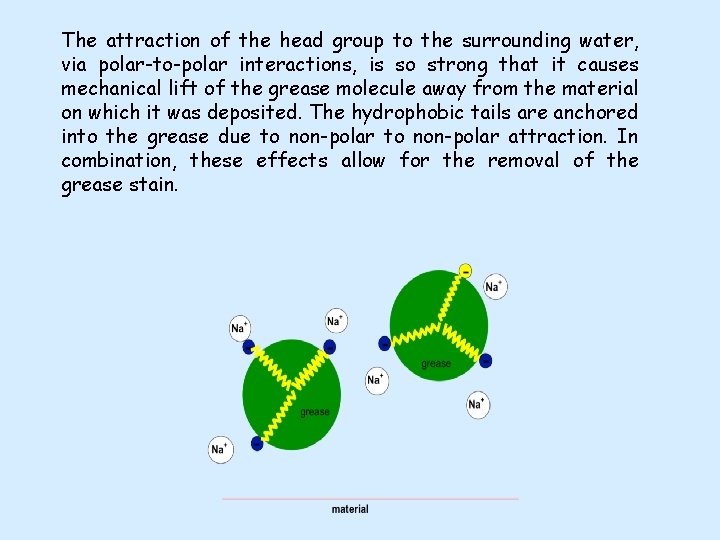 The attraction of the head group to the surrounding water, via polar-to-polar interactions, is