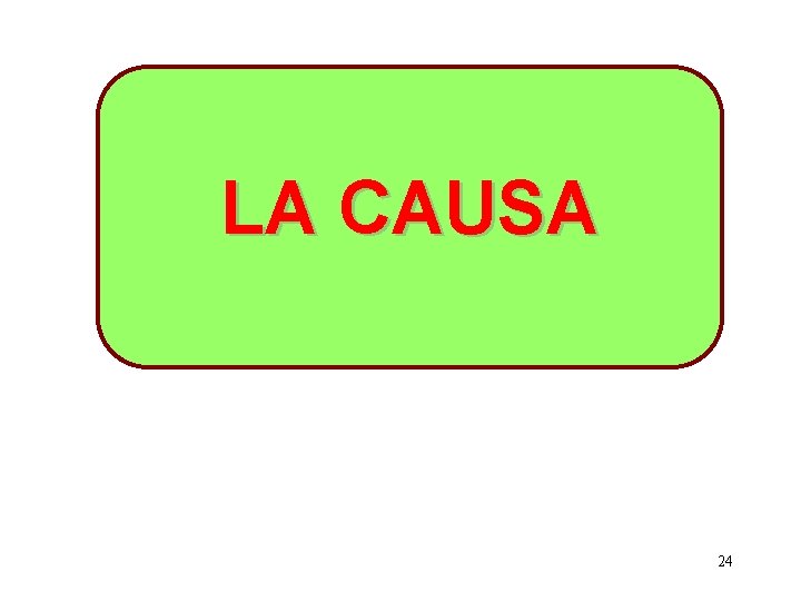 LA CAUSA 24 