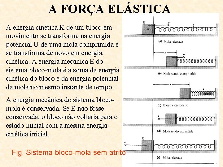 A FORÇA ELÁSTICA A energia cinética K de um bloco em movimento se transforma