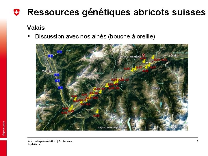 Ressources génétiques abricots suisses Valais § Discussion avec nos ainés (bouche à oreille) Nom