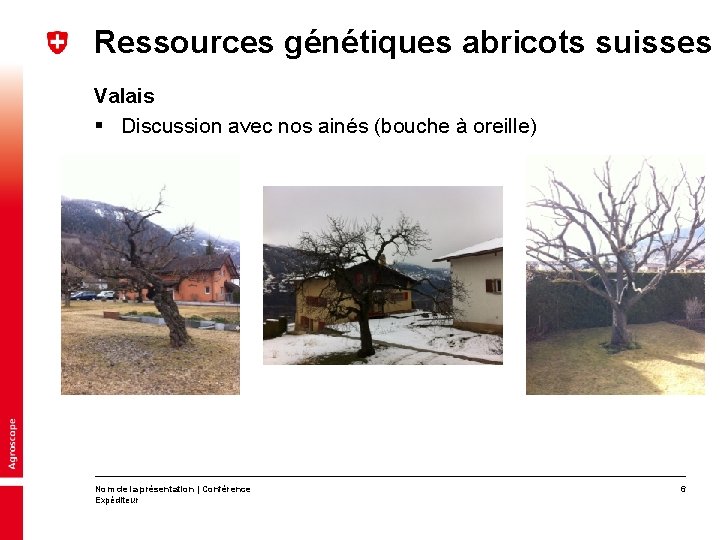 Ressources génétiques abricots suisses Valais § Discussion avec nos ainés (bouche à oreille) Nom