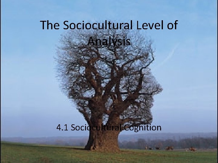 The Sociocultural Level of Analysis 4. 1 Sociocultural Cognition 