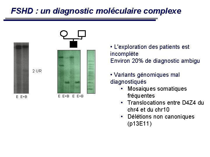 FSHD : un diagnostic moléculaire complexe • L'exploration des patients est incomplète Environ 20%