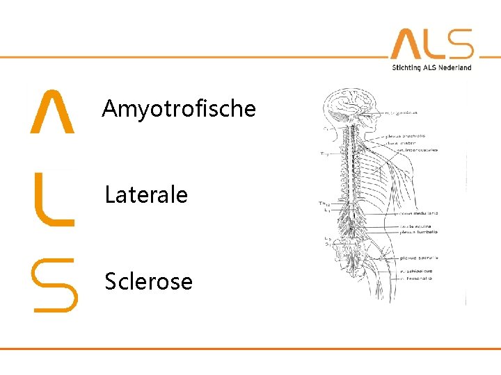 Amyotrofische Laterale Sclerose 