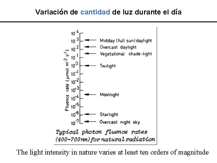 Variación de cantidad de luz durante el día The light intensity in nature varies