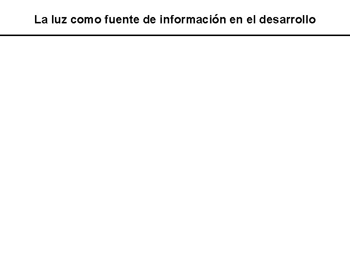 La luz como fuente de información en el desarrollo 