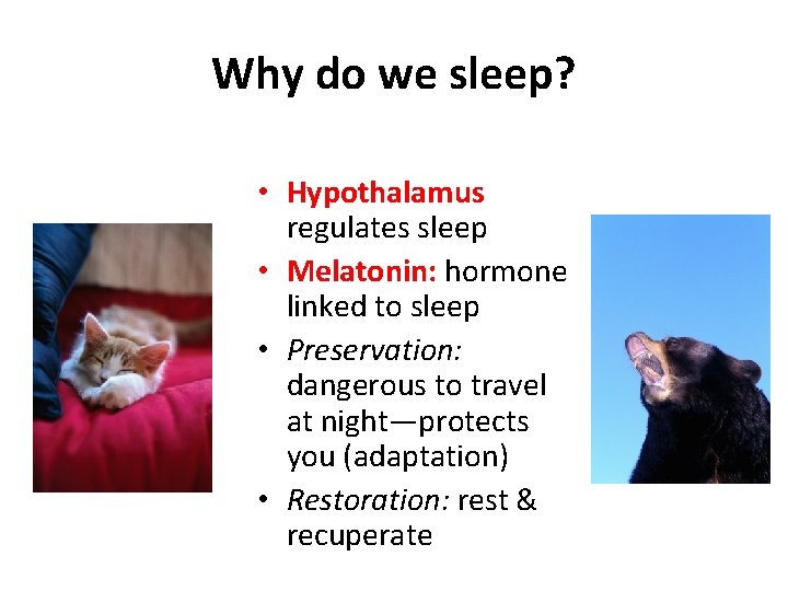 Why do we sleep? • Hypothalamus regulates sleep • Melatonin: hormone linked to sleep